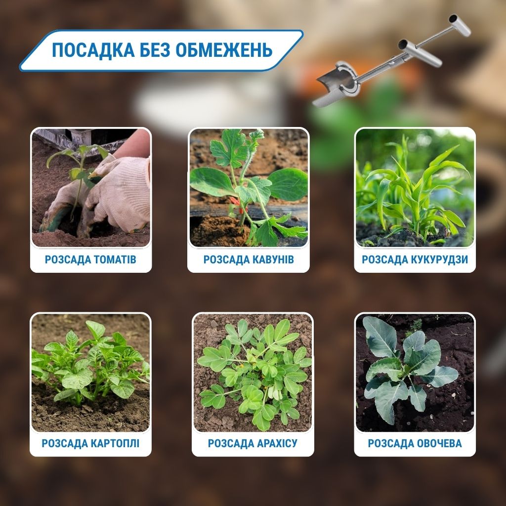 Інструмент для пересадки саджанців рослин
